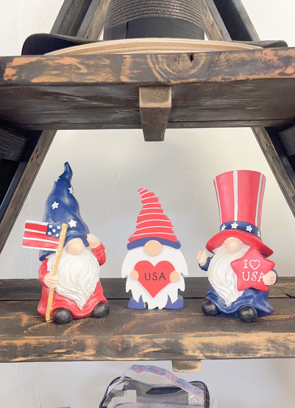 Patriotic Gnomes